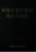 中国改革开放的理论与实践  上