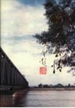 齐河县情  1986-1990