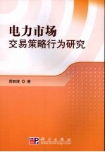 电力市场交易策略行为研究