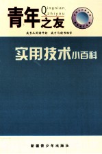 中国小百科全书  实用技术小百科