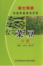 图文精解设施果蔬栽培经验  菜豆分册