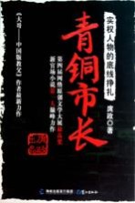 青铜市长  实权人物的底线挣扎