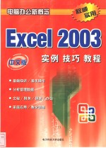 中文版Excel 2003实例技巧教程