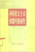 中国社会主义道路问题研究