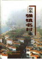 山东强镇名村志  2002