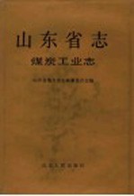 山东省志  第38卷  煤炭工业志  下