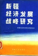 新疆经济发展战略研究