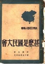 什么是国民大会