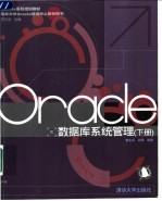 Oracle 数据库系统管理 下