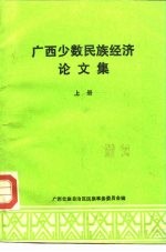 广西少数民族经济论文集  上