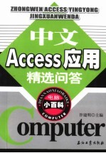 中文Access应用精选问答