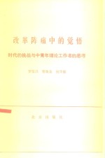 改革阵痛中的觉悟  时代的挑战与中青年理论工作者的思考