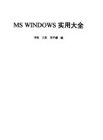 MS WINDOWS 实用大全