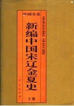 百卷本中国全史  新编中国宋辽金夏史  下