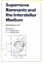 Supernova Remnants and the Interstellar Medium