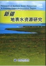 新疆地表水资源研究