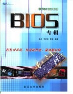 DIYer进阶法宝  BIOS专辑