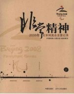 非常精神：2008年北京残奥会全景记录  下