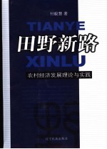 田野新路  农村经济发展理论与实践