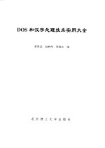 DOS和汉字处理技术实用大全