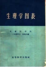 生理学图表