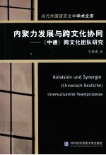 内聚力发展与跨文化协同（中德）跨文化团队研究