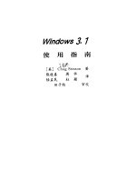 Windows 3.1使用指南