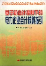 基于新会计准则下的电力企业会计核算指引