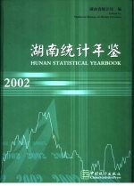 湖南统计年鉴  2002  中英文本