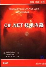 C# NET技术内幕