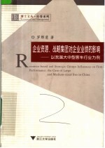 企业资源、战略集团对企业业绩的影响 以我国大中型客车行业为例 the case of large and medium-sized bus in China