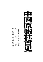 中国原始社会史  中国社会史大系第1分册