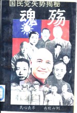 魂殇国民党失势揭秘