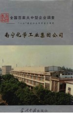 中国国情丛书  全国百家大中型企业调查  南宁化学工业集团公司