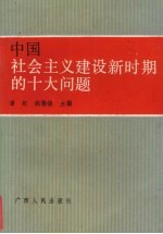 中国社会主义建设新时期的十大问题