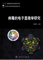 病毒的电子显微学研究