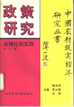 政策研究：从理论到实践