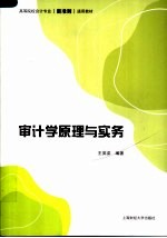 审计学原理与实务