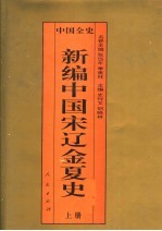 百卷本中国全史  新编中国宋辽金夏史  上