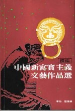 中国新写实主义文艺作品选  续编