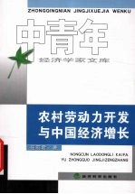 农村劳动力开发与中国经济增长