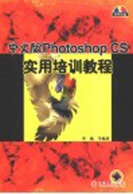 中文版Photoshop CS实用培训教程