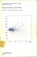 Stellar radial Velocities IAU Colloquium NO.88