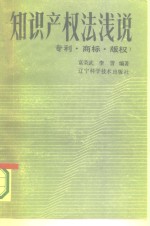 知识产权法浅说  专利·商标·版权