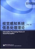 视觉感知系统信息处理理论