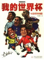 我的世界杯  2006德国世界杯珍藏版