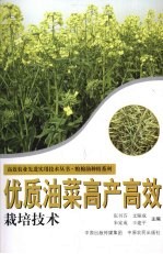 优质油菜高产高效栽培技术