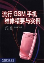 流行GSM手机维修精要与实例