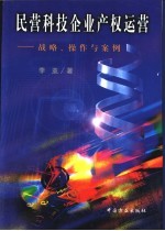 民营科技企业产权运营  战略、操作与案例