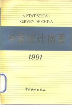 中国统计摘要  1991